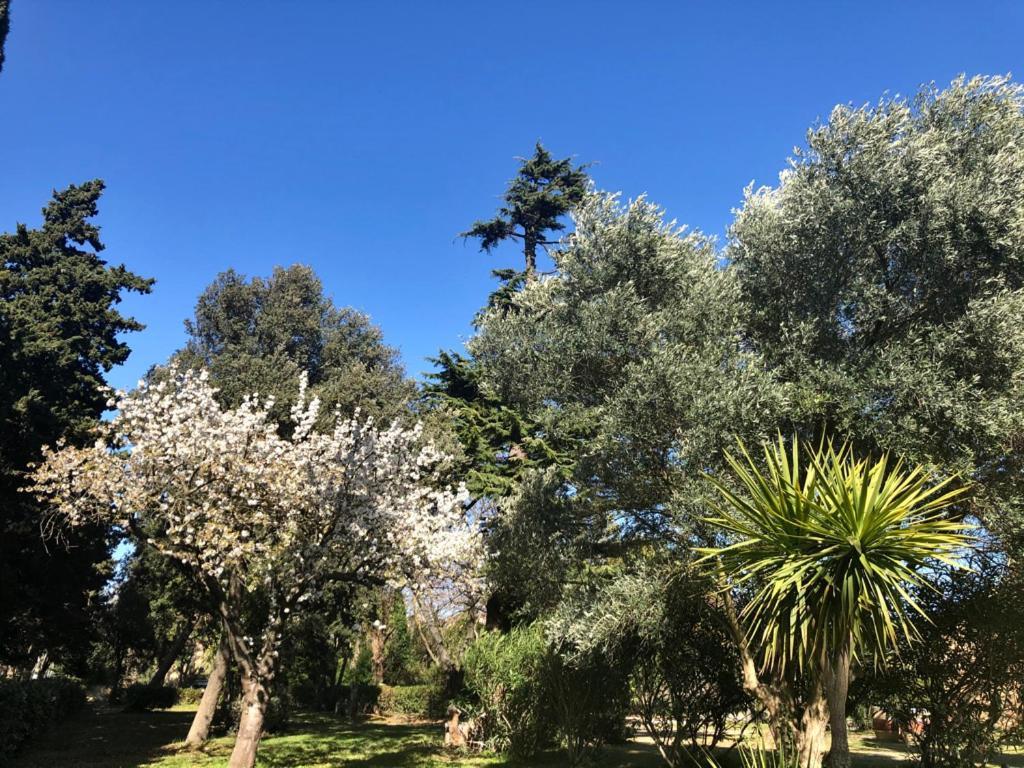 Bizanet Le Nid Des Corbieres B&B 외부 사진